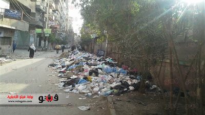 بالصور.. انتشار القمامة في شوارع طنطا
