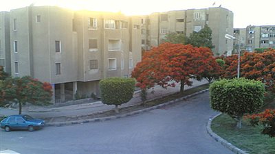 أسيوط الجديدة تنفذ شبكة الكهرباء بالإسكان الاجتماعي