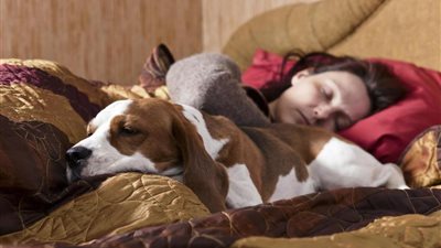 ميعاد نومك مسئول عن سعادتك وتفكيرك السلبي