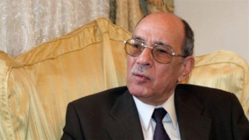 عبد الغفار شكر، نائب