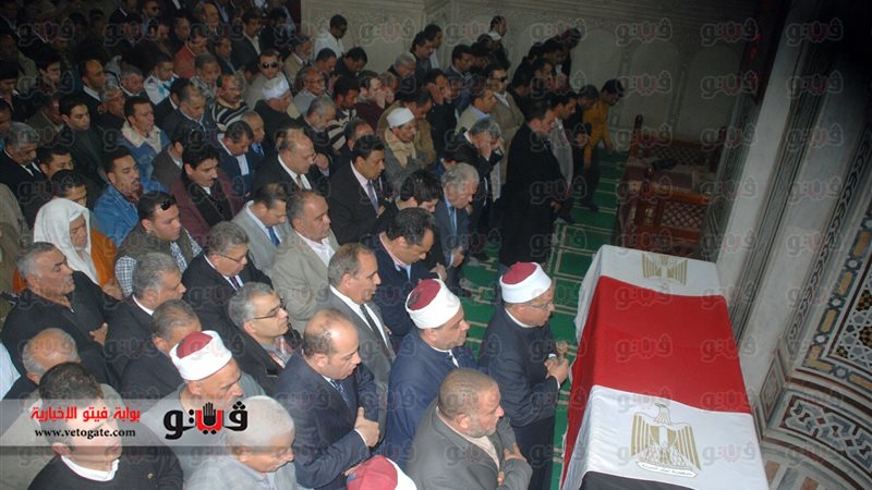 فيتو
