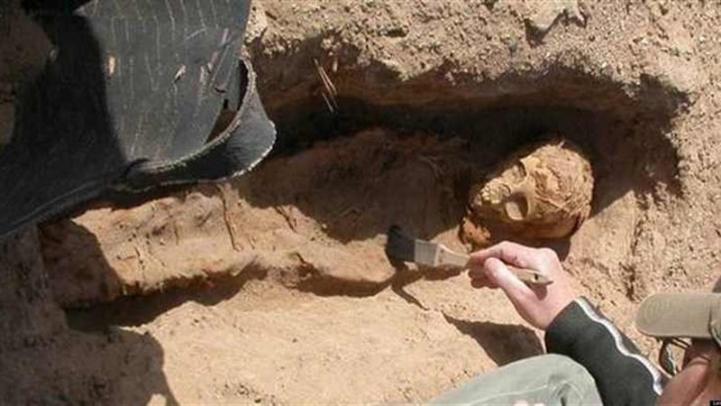 صورة أرشيفية