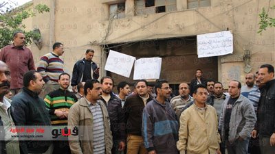 بالفيديو والصور.. سائقو ديوان محافظة القاهرة يطالبون بتطبيق الحد الأدنى للأجور