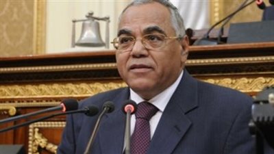 «فقيه دستورى» عن قرار «العدل»: «الزواج سيتم سواء وافقت الدولة أو لا»