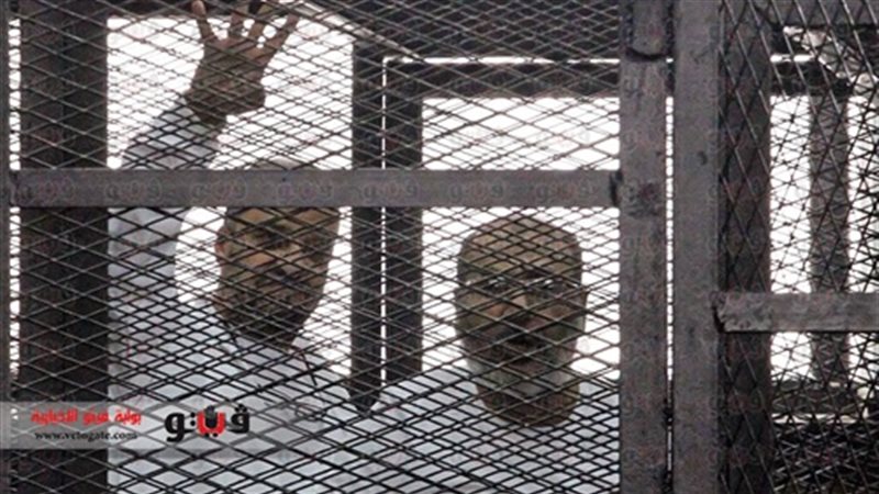 محمد البلتاجى وصفوت