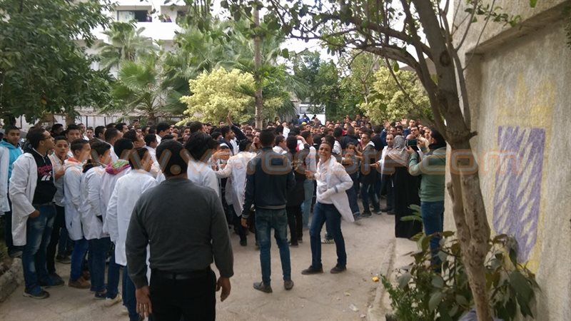 فيتو