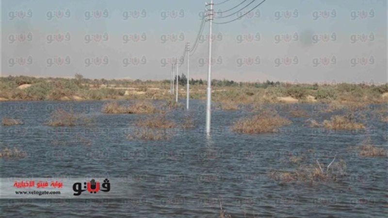 منطقة بئر 19 بعين
