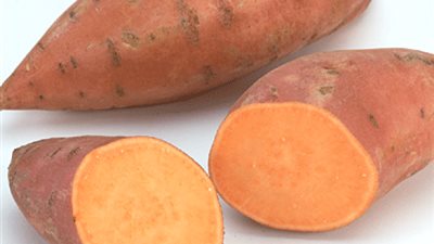 أخصائية تغذية: البطاطا تحارب السرطان