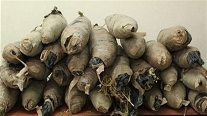 صورة أرشيفية
