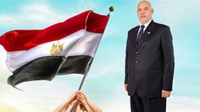 ممثل المصريين بالخارج في البرلمان: ننسق مع وزارة الهجرة لبحث المشكلات