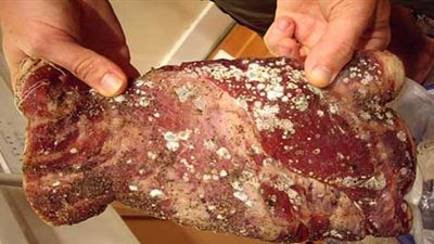 تفاصيل سقوط مافيا الأغذية الفاسدة.. نائب سابق وطيار استغلا ارتفاع الأسعار.. ضبط 15350 كرتونة لحوم منتهية الصلاحية.. الشركة تورد للمطاعم والفنادق.. تقرير الطب البيطري: اللحوم فاسدة وطمس تاريخ الإنتاج