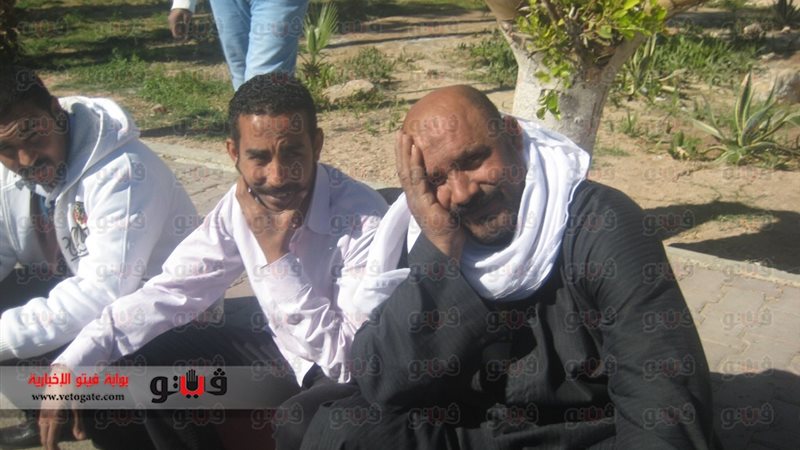 فيتو