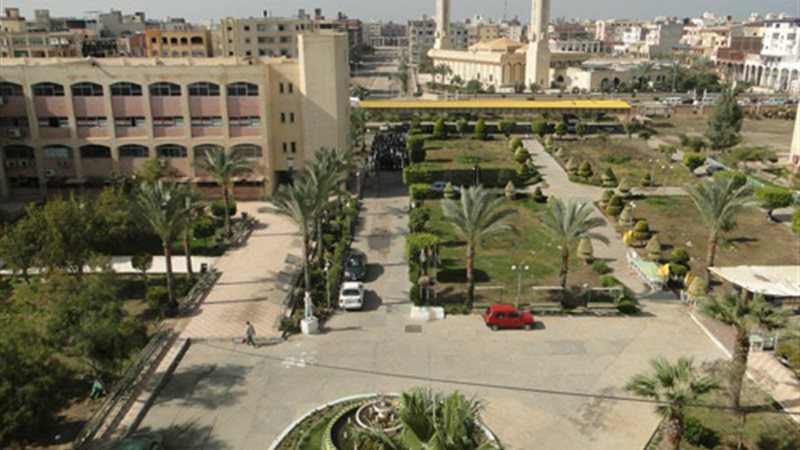 جامعة دمياط - صورة