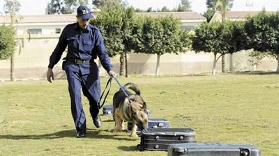 تكريم أمين شرطة لكفاءته في تدريب كلاب الحراسة والكشف عن المفرقعات