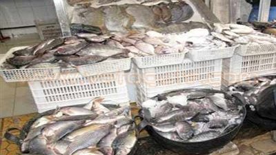 ضبط صاحب ثلاجة لحفظ الأسماك بدون ترخيص في الشرقية