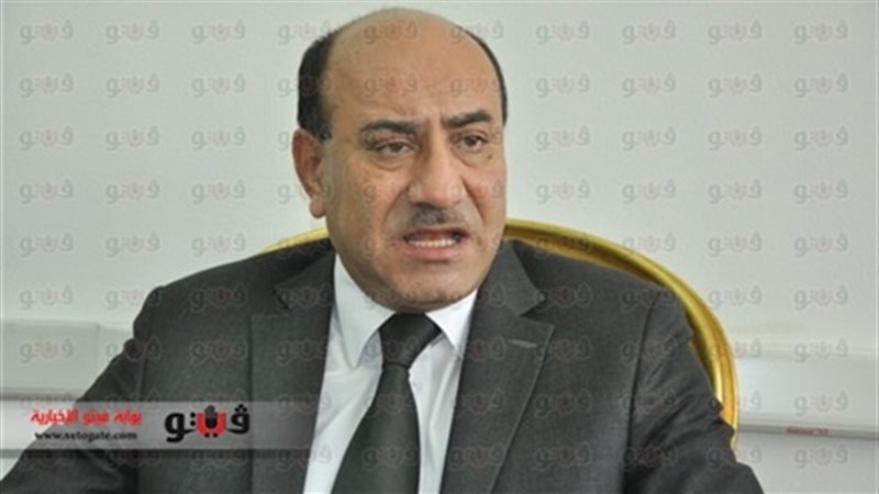  المستشار هشام جنينة،