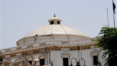 رشا عبد الفتاح: أسعى لحل مشاكل العمالة المصرية بالخارج