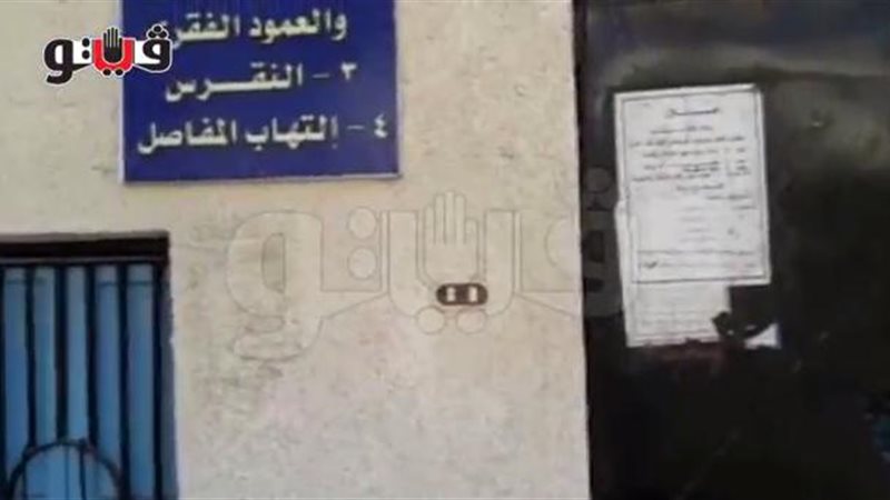 فيتو