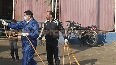 بالصور.. حملات لـ«حماية المستهلك» في بلبيس لمكافحة الحشرات الضارة