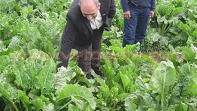 بالصور.. وكيل «زراعة الشرقية» يتابع زراعة المحاصيل الشتوية