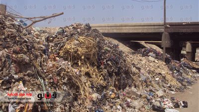 محافظ القليوبية يلتقي رئيس حي شبرا لبحث أزمة القمامة