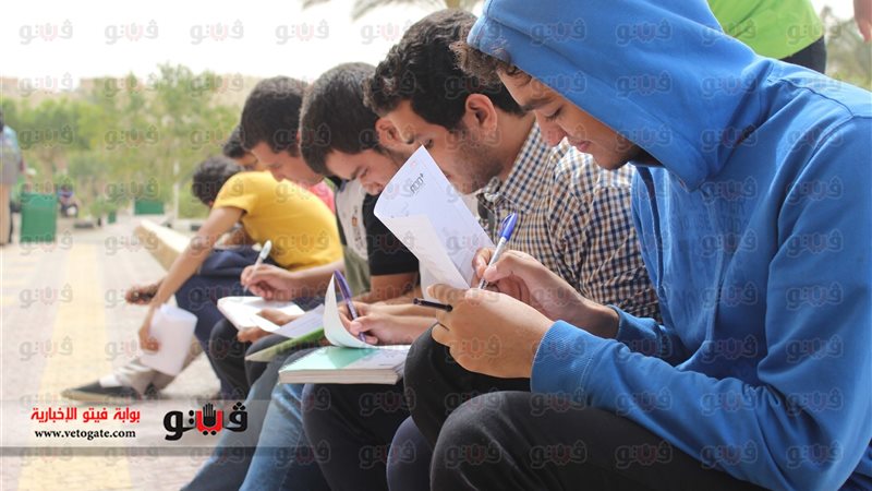 فيتو