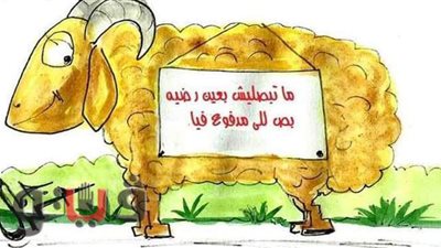 حال الخرفان في العيد قبل التضحية بها.. كاريكاتير