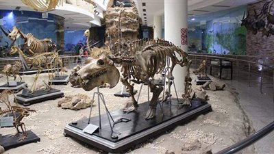 5 أماكن أثرية مميزة.. دليلك للاحتفال بالعيد بتجربة مختلفة داخل حديقة الحيوان