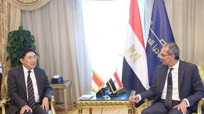 تعاون مصري سنغافوري في الاتصالات وتكنولوجيا المعلومات