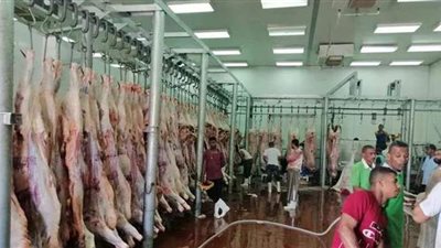 مجانا.. فتح مجازر الجيزة أمام المواطنين أيام عيد الأضحى المبارك