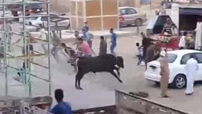 مصرع شخصين وإصابة آخرين في هروب عجل من سيارة تقلهم بالمنوفية