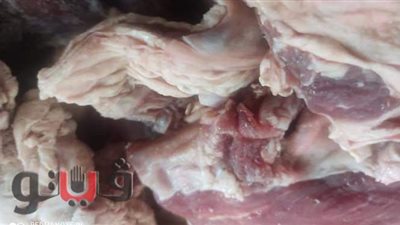 ضبط لحوم مجهولة بمحال للجزارة في الإسماعيلية | صور