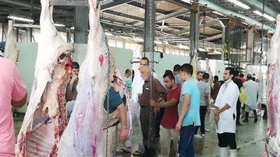 بالقانون.. إزاي تاخد حقك من الجزار حال فساد أو غش لحمة العيد