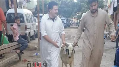 أهالي الإسكندرية يبدأون ذبح الأضاحي في الشوارع | صور