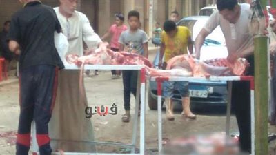 رغم فتحها مجانًا.. جزارين أسيوط يذبحون الأضاحي خارج المجازر | فيديو