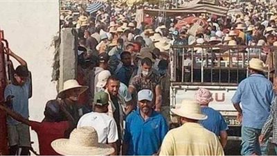 رائحة الموت أقوى من الأضاحي.. تونس تحتفل بعيد الأضحى بين الأموات