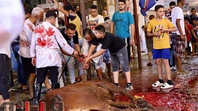 مشاهد من ذبح الأضاحي بالشارع.. عين شمس تكتسي بالدماء.. مخالفة تعليمات الذبح في أسيوط.. وأهالي الإسكندرية: عادة