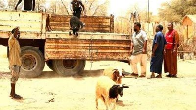 الهلال الإماراتي يدعم الليبيين بأضاحي العيد