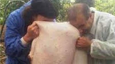 لسان وجلد الأضاحي.. عادات جزائرية قديمة لعلاج بعض الأمراض