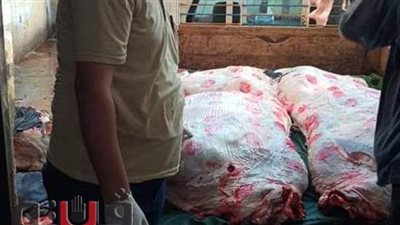 تحرير ١٠٥ جنح صحية وتوصية بغلق ٢٤ منشآة غذائية في الإسماعيلية | صور