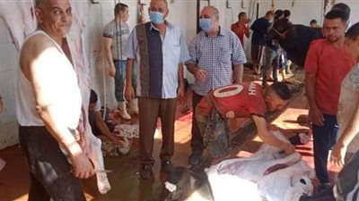 مجازر القليوبية تستقبل 384 أضحية أول أيام العيد