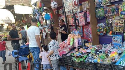 إقبال كبير على لعب الأطفال في عيد الأضحى بالدقهلية | فيديو وصور