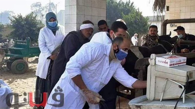 جانب من أعمال المسح