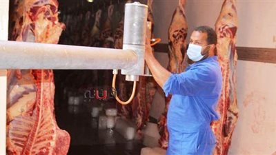 الأوقاف توزع 120 طن لحوم أضاحٍ دفعة أولى بدءا من الجمعة | صور