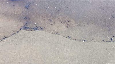 لجنه عاجلة للسيطرة على التلوث الزيتى بشاطئ المناخ ببورسعيد