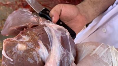 استئصال كبد ضاني من ذبيحة وإعدامه في مجزر بالدقهلية | صور