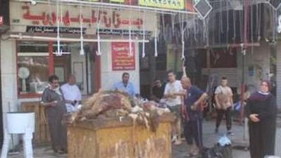 صناديق قمامة أمام محلات الجزارة ورفع 12 طن قمامة بالجيزة