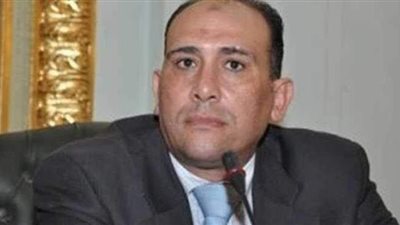 خبير اقتصادى: مبادرة حياة كريمة  تساهم فى الإرتقاء بالفرد صحياً وتعليميا واجتماعيا