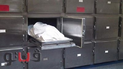 التحقيق في مصرع مسن سقط من شرفة شقته بالطالبية.. والتحريات الأولية:مريض نفسي