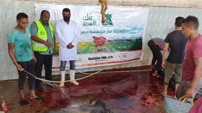 توزيع لحوم الأضاحي على ٥٥٠٧ أسر مستحقة بالوادي الجديد